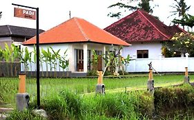 Padi Guest House